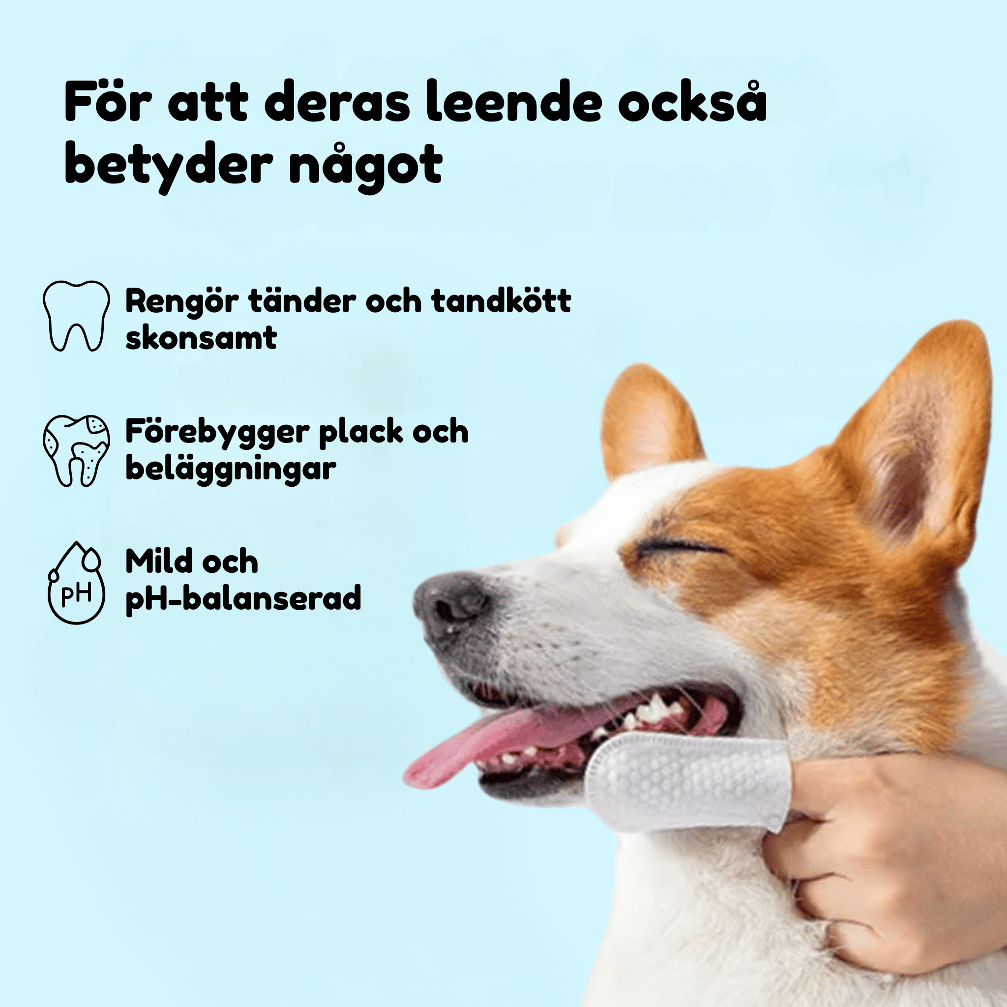 CleanChew - Skyddar hundar mot tandproblem
