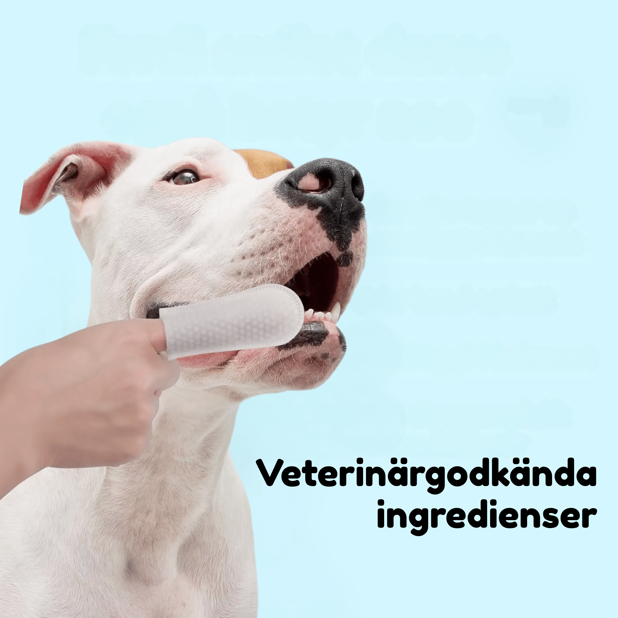 CleanChew - Skyddar hundar mot tandproblem